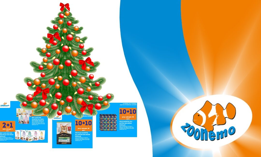 Mega Promocje Świąteczne w ZooNemo! Odkryj Rabaty do -50% na Karmy i Przysmaki!