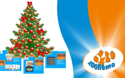 Mega Promocje Świąteczne w ZooNemo! Odkryj Rabaty do -50% na Karmy i Przysmaki!