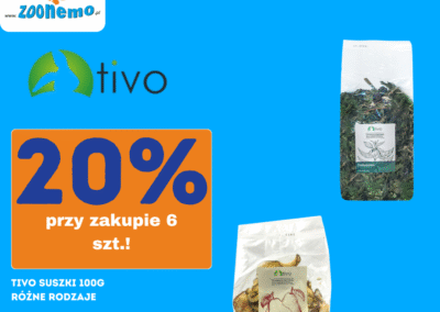 Mega Promocje Świąteczne w ZooNemo11