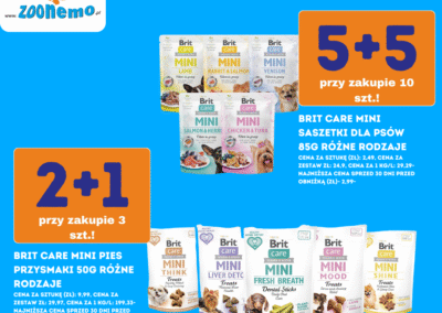 Mega Promocje Świąteczne w ZooNemo13