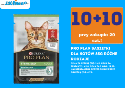 Mega Promocje Świąteczne w ZooNemo15