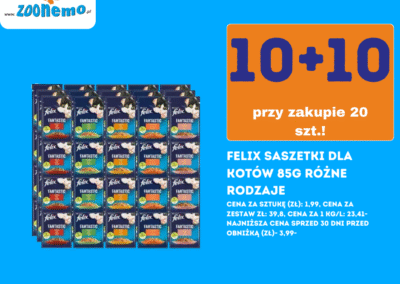 Mega Promocje Świąteczne w ZooNemo16