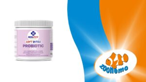 Twój pies ma rewolucje żołądkowe? Odkryj moc Helpet Probiotic Care w ZooNemo