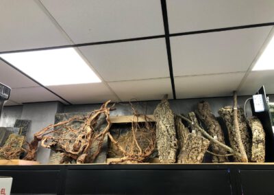 Naturalne dekoracje do akwarium i terrarium – Nowa dostawa w ZooNemo Legionowo 3