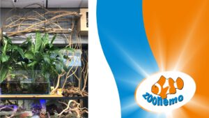 Naturalne dekoracje do akwarium i terrarium – Nowa dostawa w ZooNemo Legionowo!