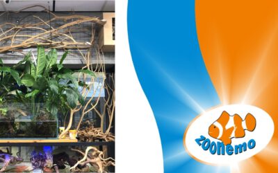 Naturalne dekoracje do akwarium i terrarium – Nowa dostawa w ZooNemo Legionowo!