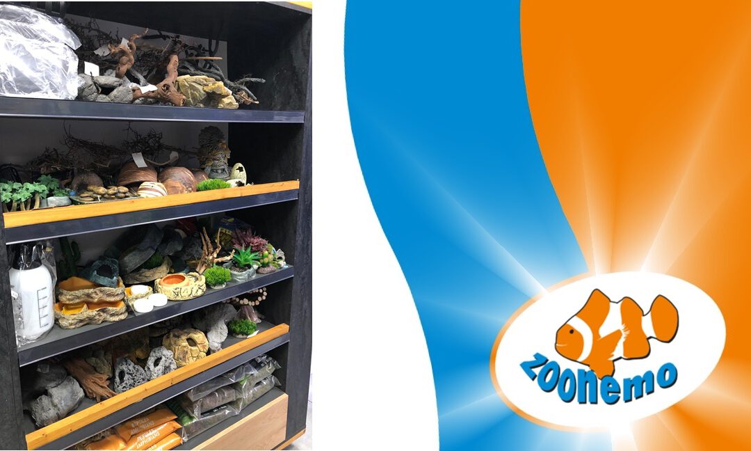 Sklep Terrarystyczny Legionowo – Terraria, Akcesoria, Karma | ZooNemo