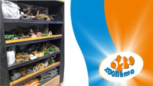 Sklep Terrarystyczny Legionowo – Terraria, Akcesoria, Karma | ZooNemo