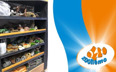 Sklep Terrarystyczny Legionowo – Terraria, Akcesoria, Karma | ZooNemo