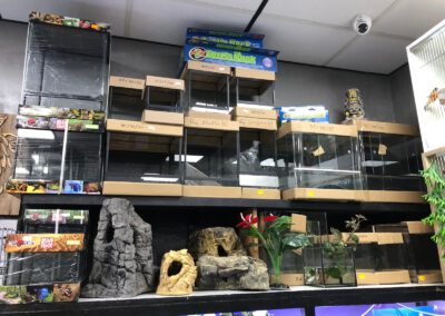 Sklep Terrarystyczny Legionowo - Terraria, Akcesoria, Karma ZooNemo 6