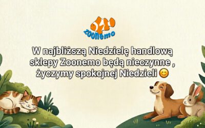 Niedziela handlowa w Zoonemo – Informacja o godzinach otwarcia