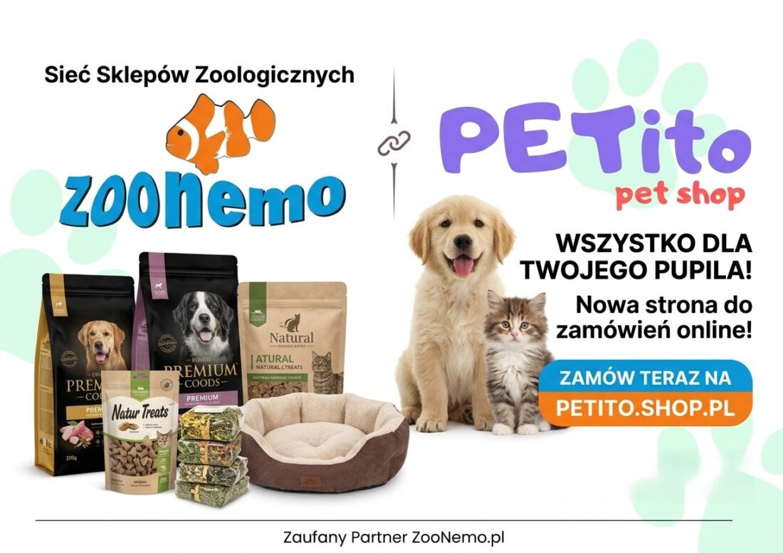 Petito Pet Shop – Internetowy Sklep Zoologiczny Online! Wszystko Dla Twojego Pupila 2