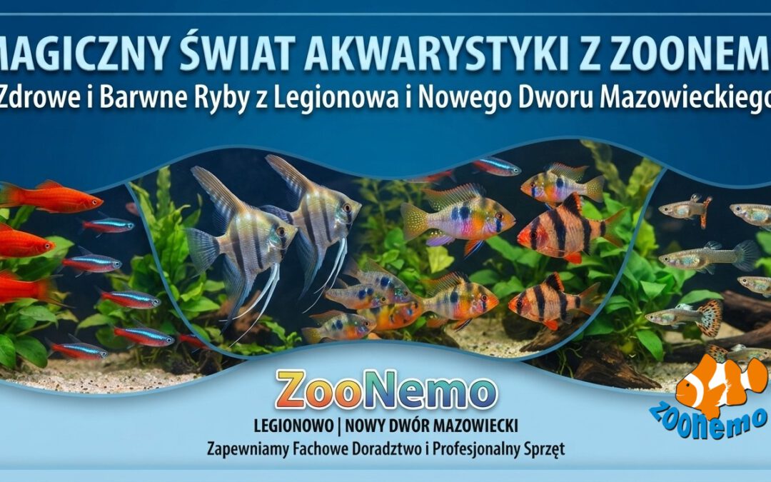 Ryby akwariowe Legionowo i Nowy Dwór Mazowiecki – Sklep ZooNemo