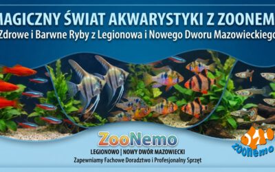 Ryby akwariowe Legionowo i Nowy Dwór Mazowiecki – Sklep ZooNemo