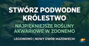 Stwórz podwodne arcydzieło: Najpiękniejsze rośliny akwariowe w ZooNemo – Legionowo i Nowy Dwór Mazowiecki