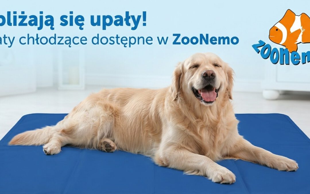 Upały wracają! Zadbaj o komfort swojego pupila z matami chłodzącymi ZooNemo