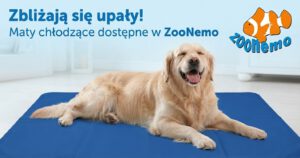 Upały wracają! Zadbaj o komfort swojego pupila z matami chłodzącymi ZooNemo