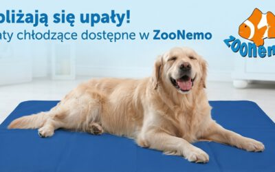 Upały wracają! Zadbaj o komfort swojego pupila z matami chłodzącymi ZooNemo