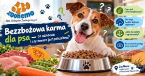 Bezzbożowa karma dla psa – co oznacza i czy zawsze jest potrzebna?