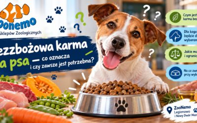 Bezzbożowa karma dla psa – co oznacza i czy zawsze jest potrzebna?