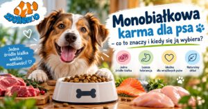 Monobiałkowa karma dla psa – co to znaczy i kiedy się ją wybiera?