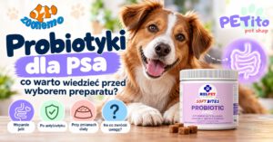 Probiotyki dla psa — co warto wiedzieć przed wyborem preparatu?