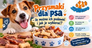 Przysmaki dla psa – ile można ich podawać i jak je wybierać?