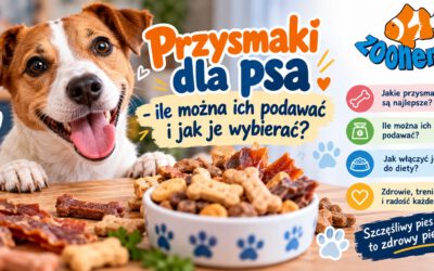 Przysmaki dla psa – ile można ich podawać i jak je wybierać?