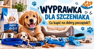 Wyprawka dla szczeniaka – co kupić na początek? | ZooNemo
